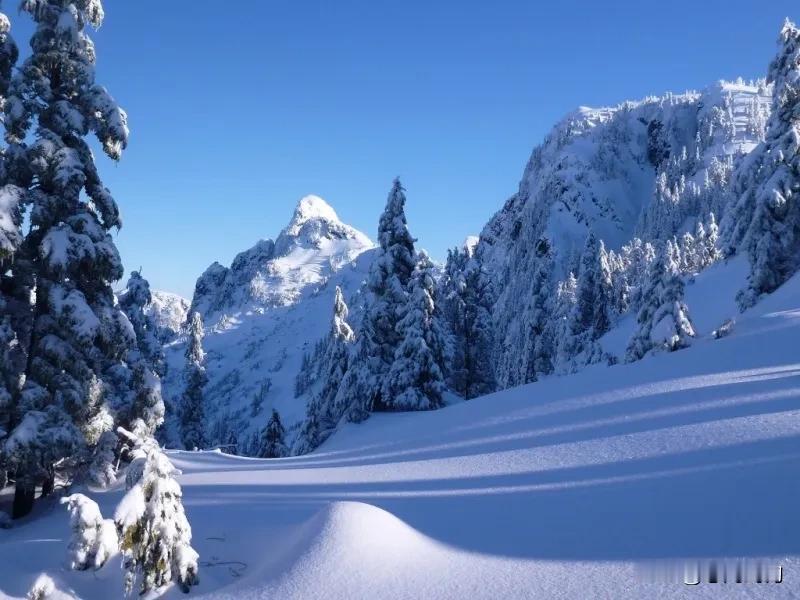 雪景如画，冰雪世界。当我们读懂了生活，便也是冷暖自知，在季节更替中，在岁月静好处