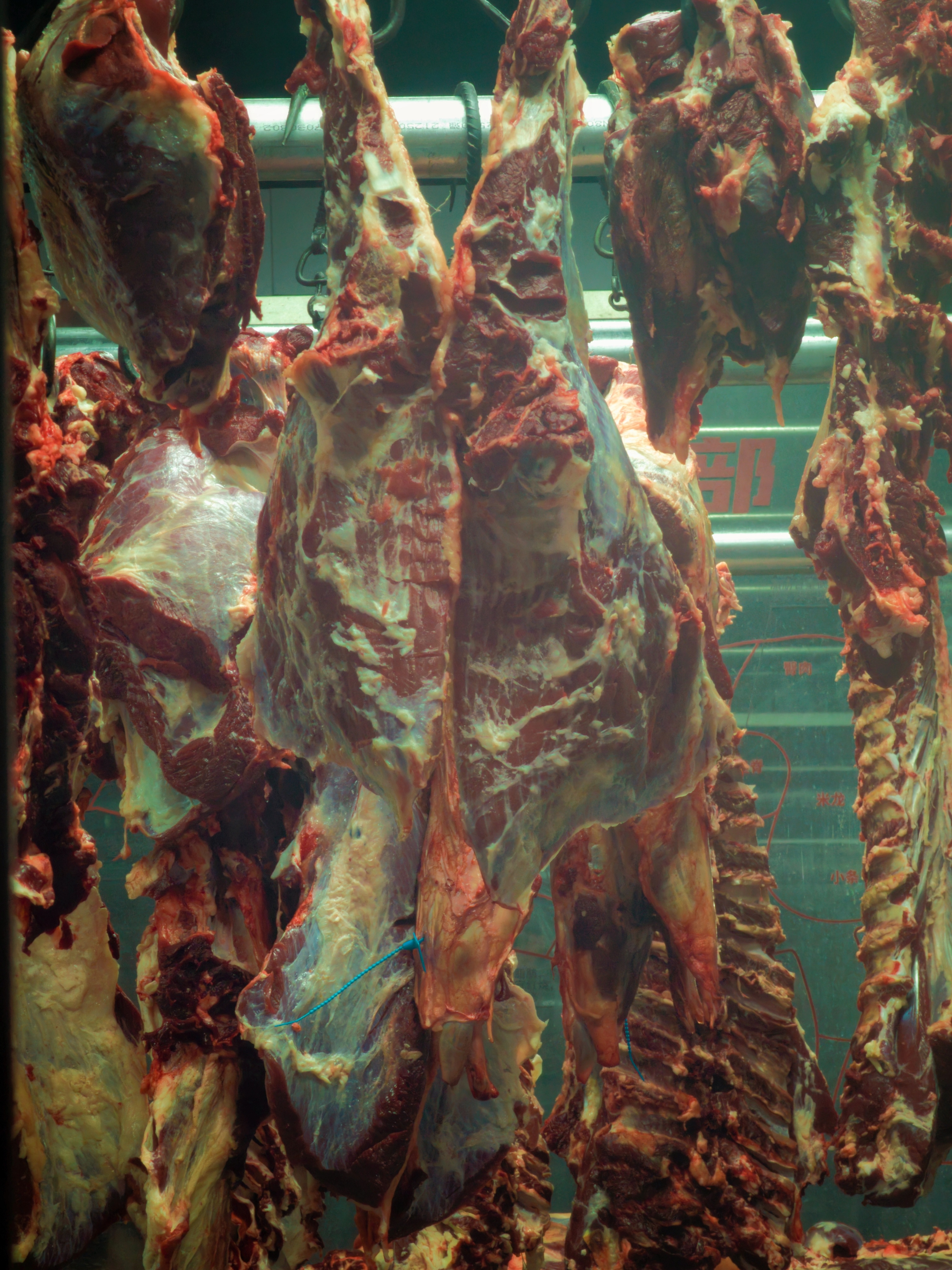 简单吃点 图上这两把烤肉，不到一百 