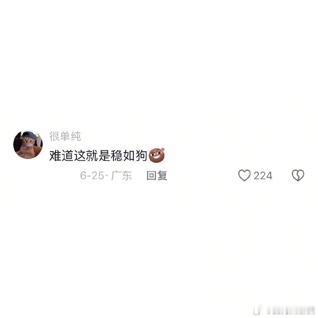第一次见这么稳的底盘暑假冲浪计划生活趣事狂想曲 （