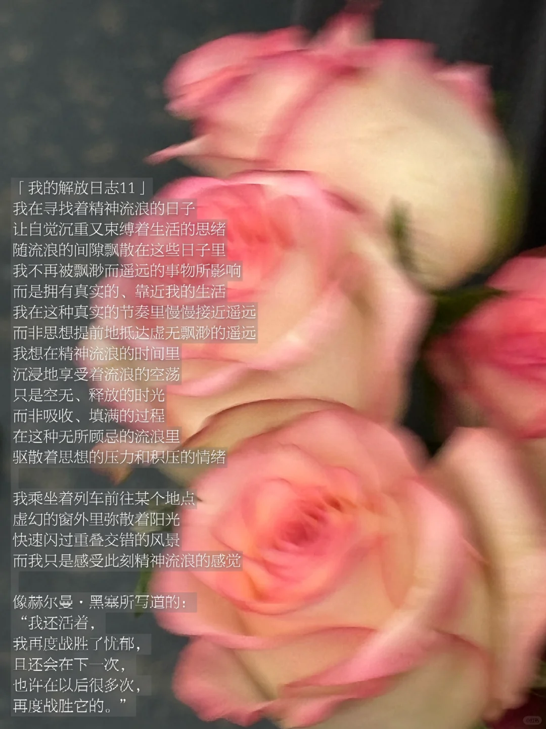 寻找岸，寻找精神流浪的日子，持续建构自我。