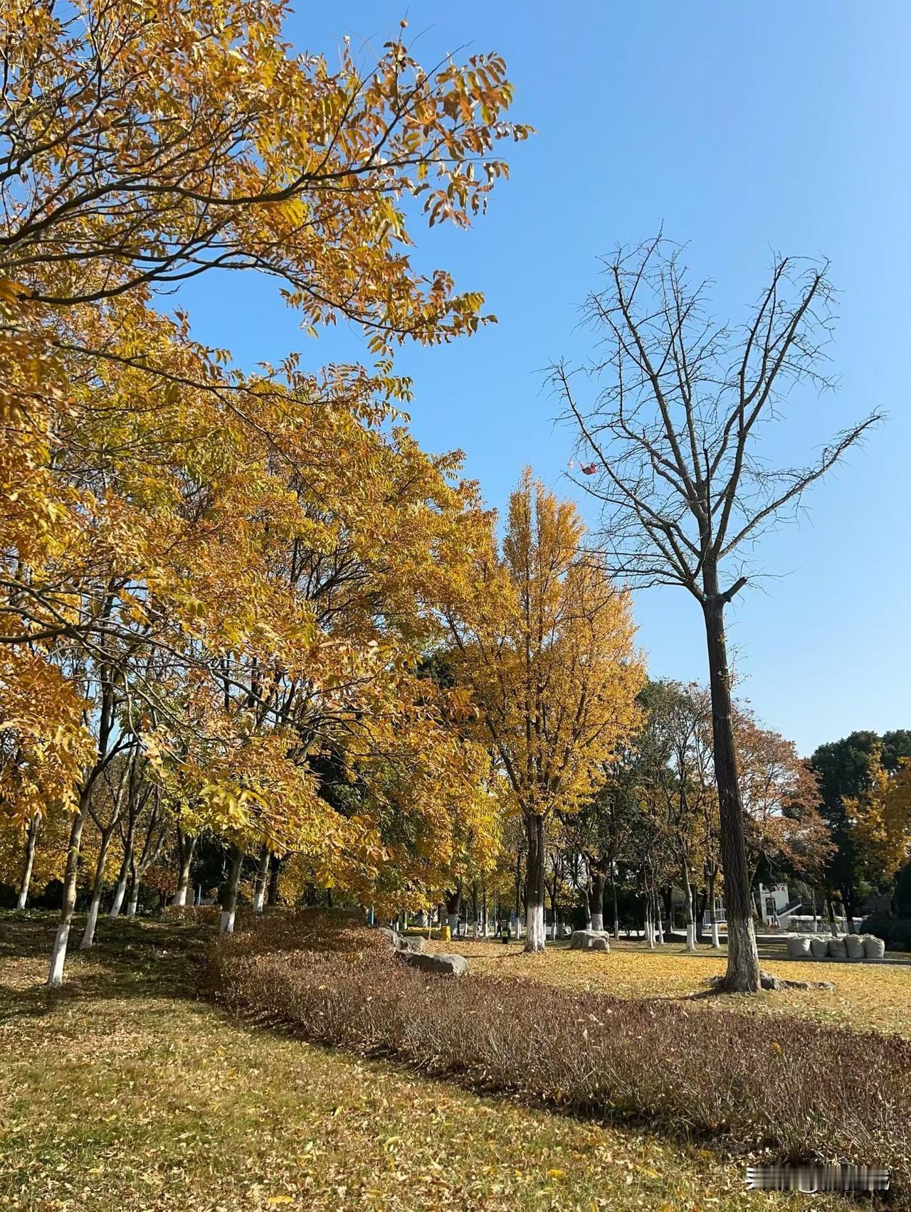 2026最最想实现的一件事就是希望我早日脱单，如果在遇不到那个人，是不是注定就要