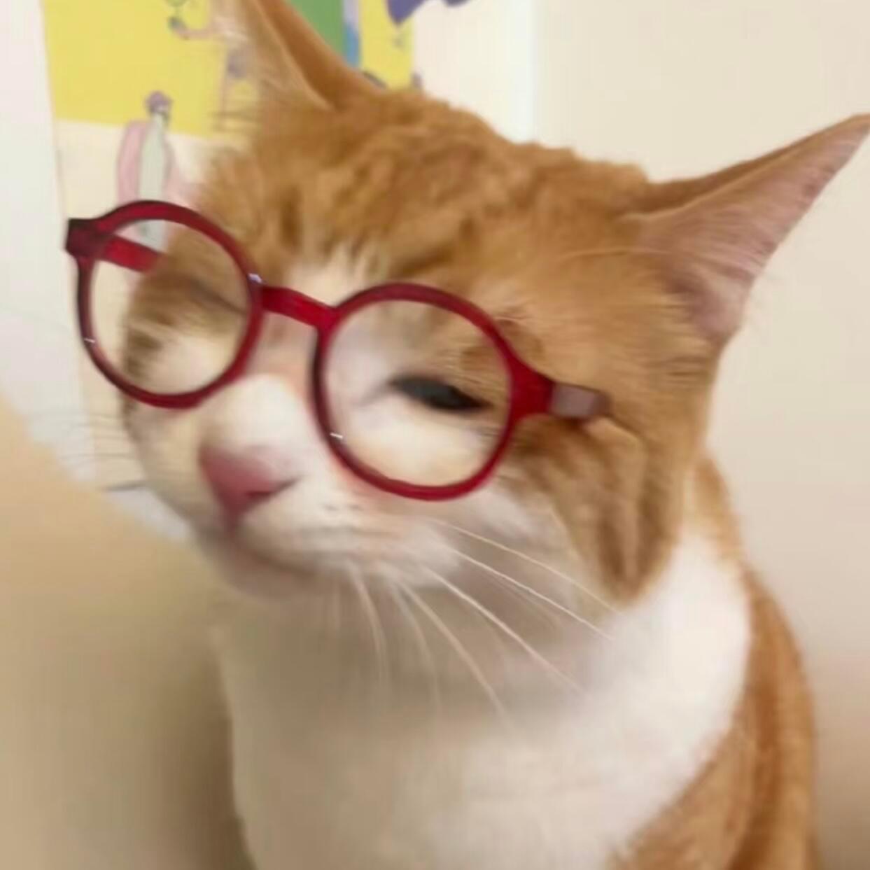 猫猫积累喵星人[超话] ​​​