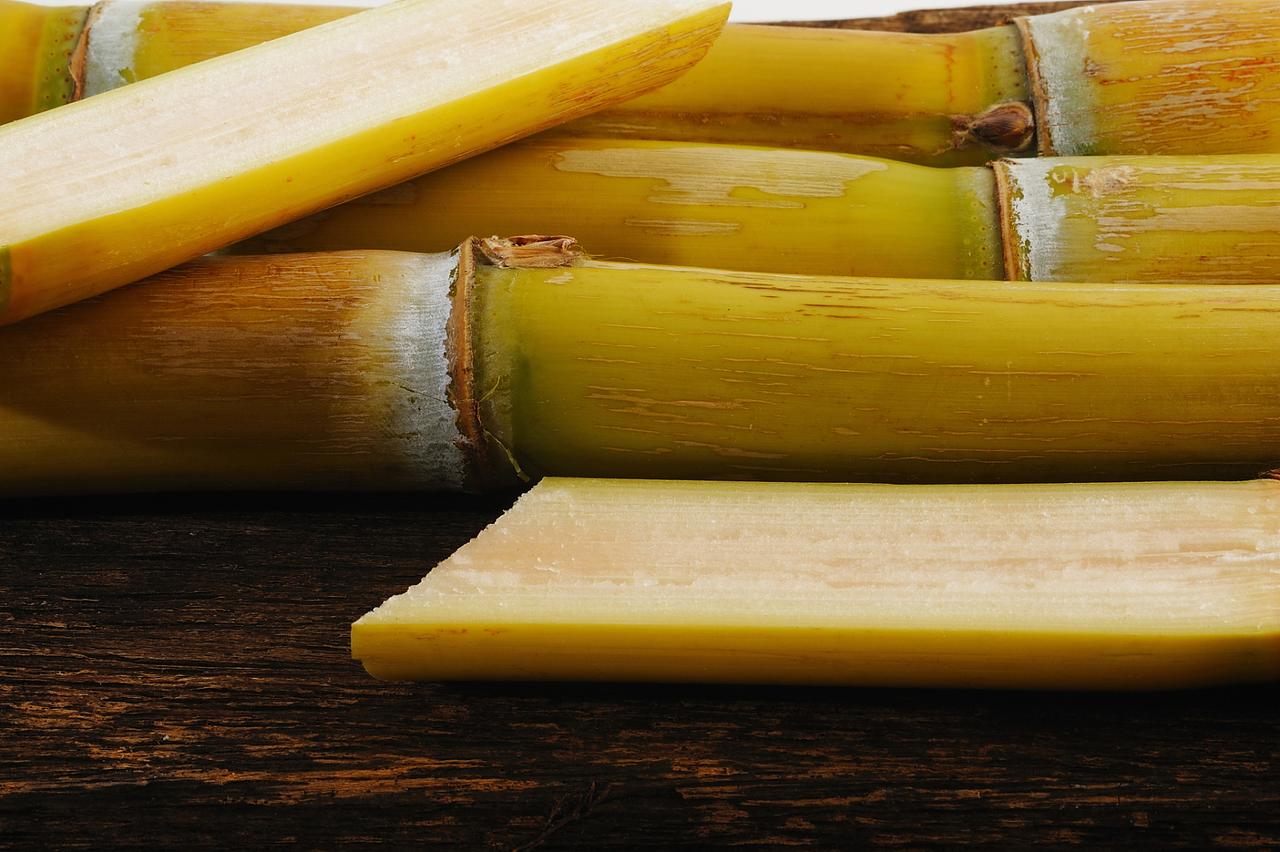 诊室里每天都有患者咨询饮食调理问题，你是否也没想到清甜多汁的甘蔗竟能助力慢性病调