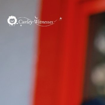 每日一善[超话] 🌿 阳光信用   一起保护大自然与社会携手做公益关心小动物的