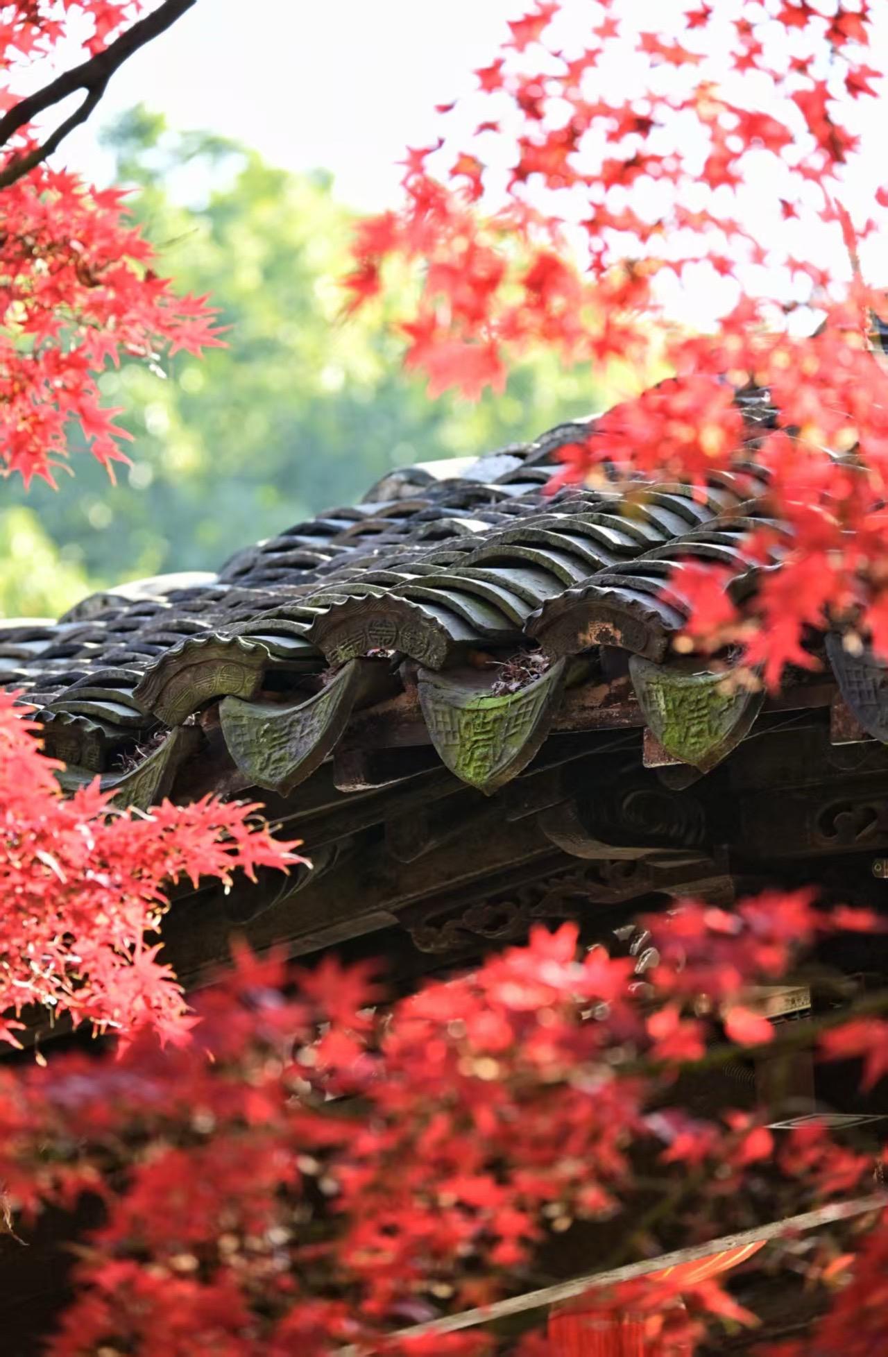 无锡能躺看惠山、步行逛古镇的五星酒店。来无锡选对酒店，直接把旅行幸福感...