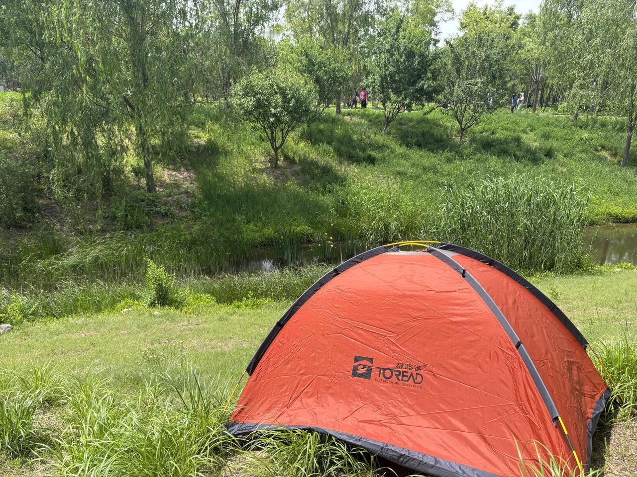 周末在南苑森林湿地公园露营野餐🧺，吃饱喝足躺在帐篷🏕️里小眯了一会儿，睁开眼