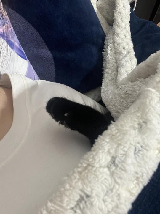 幕后黑手竟是…！