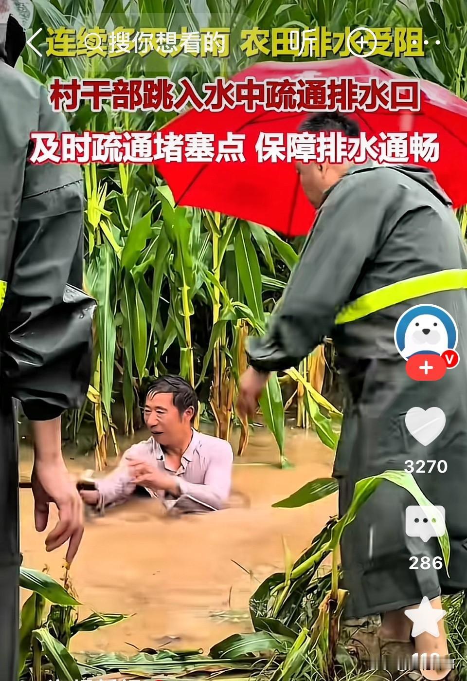 这才是人民的好干部！山东菏泽，
连日强降雨席卷菏泽，田间积水告急！

一处关键排