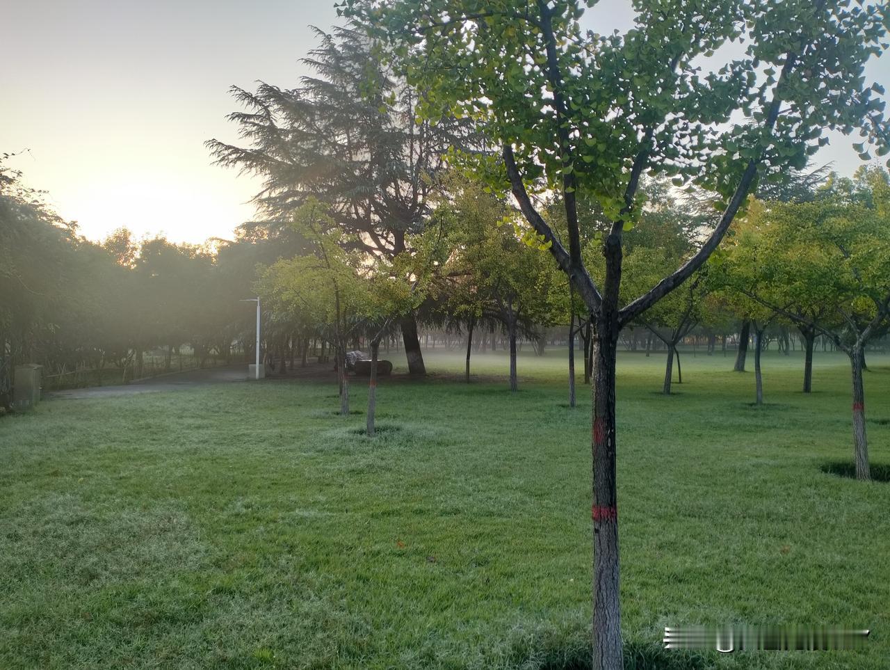 今天周四，下班后没加班，一路慢悠悠地往家走。

走着走着，感觉有点躁，在路边冷饮