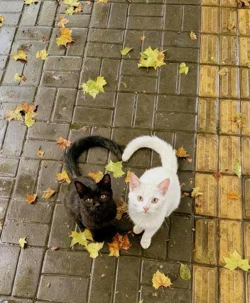 偷偷告诉你人性潜规则
男人90％都好色，女人90％都爱财。女人越穷越好嫁，男人越