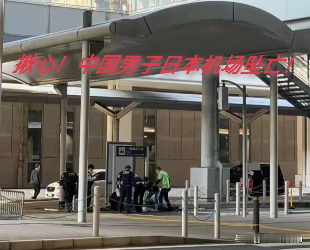 揪心！
20多岁中国小伙日本机场坠落身亡，同行母亲该有多崩溃？

刚刚潇湘晨报消