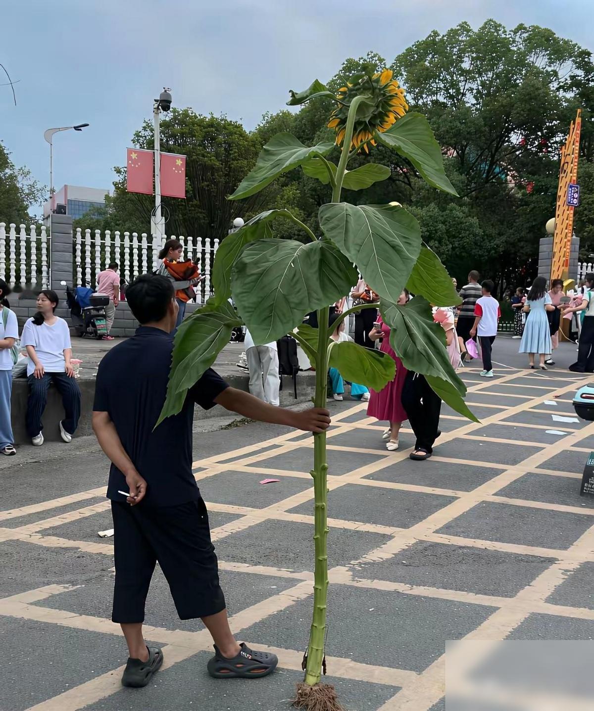6月8日，高考第二天。
考英语，17：00结束。
考场外最该琢磨的，不是某一道题
