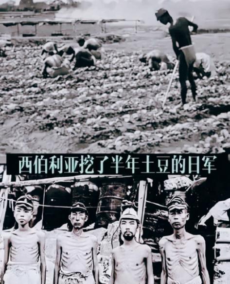 1945年，日军战俘被苏联红军押送到寒冷的西伯利亚，一个幸存战俘回忆说：“那简直