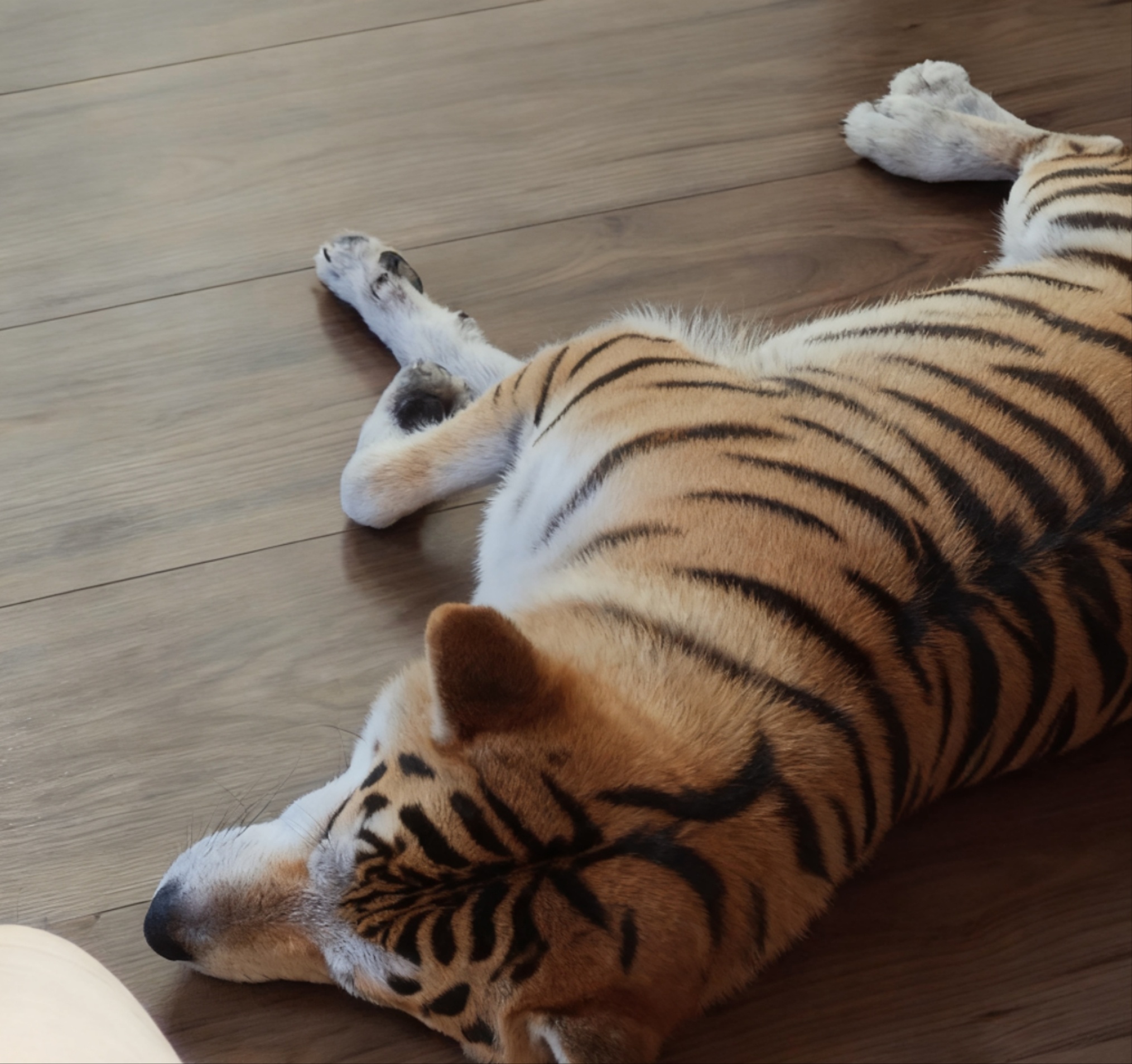 为什么房间里那么多灰尘毛 最主要来源：你自己的皮屑， 人每天会脱落几百万片死皮细