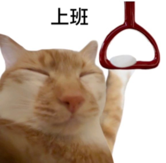 每周日晚依旧像高三时一样焦虑。周日晚上比周一早上还窒息，周一的忙是物理层面的，周