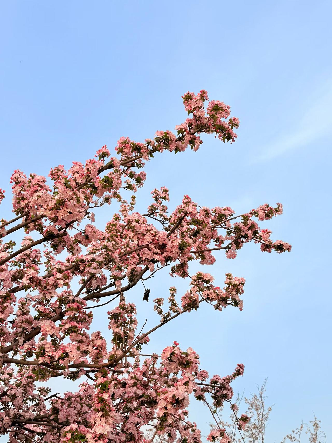 本以为春天该暖乎乎了，结果迎面还是一阵冷飕飕的倒春寒，风一吹，人都缩着脖子。
 