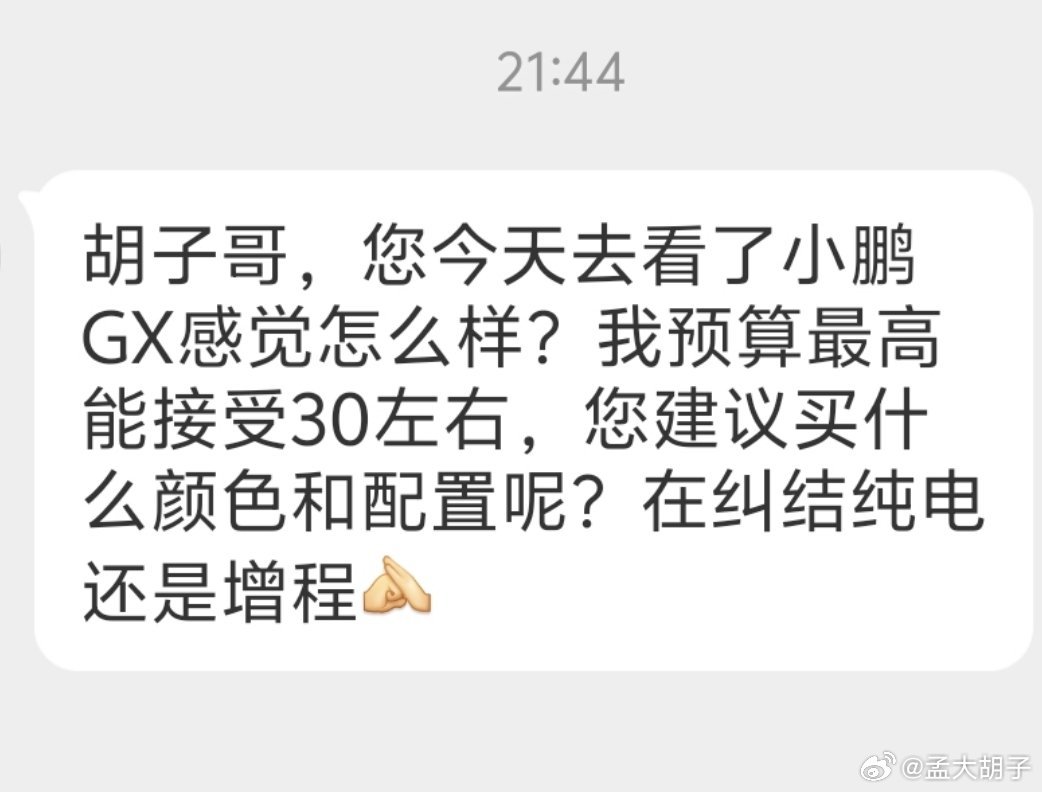 大家觉得30万左右买小鹏GX哪个配置好？如果是我买车习惯，不是次低配就是最顶配，