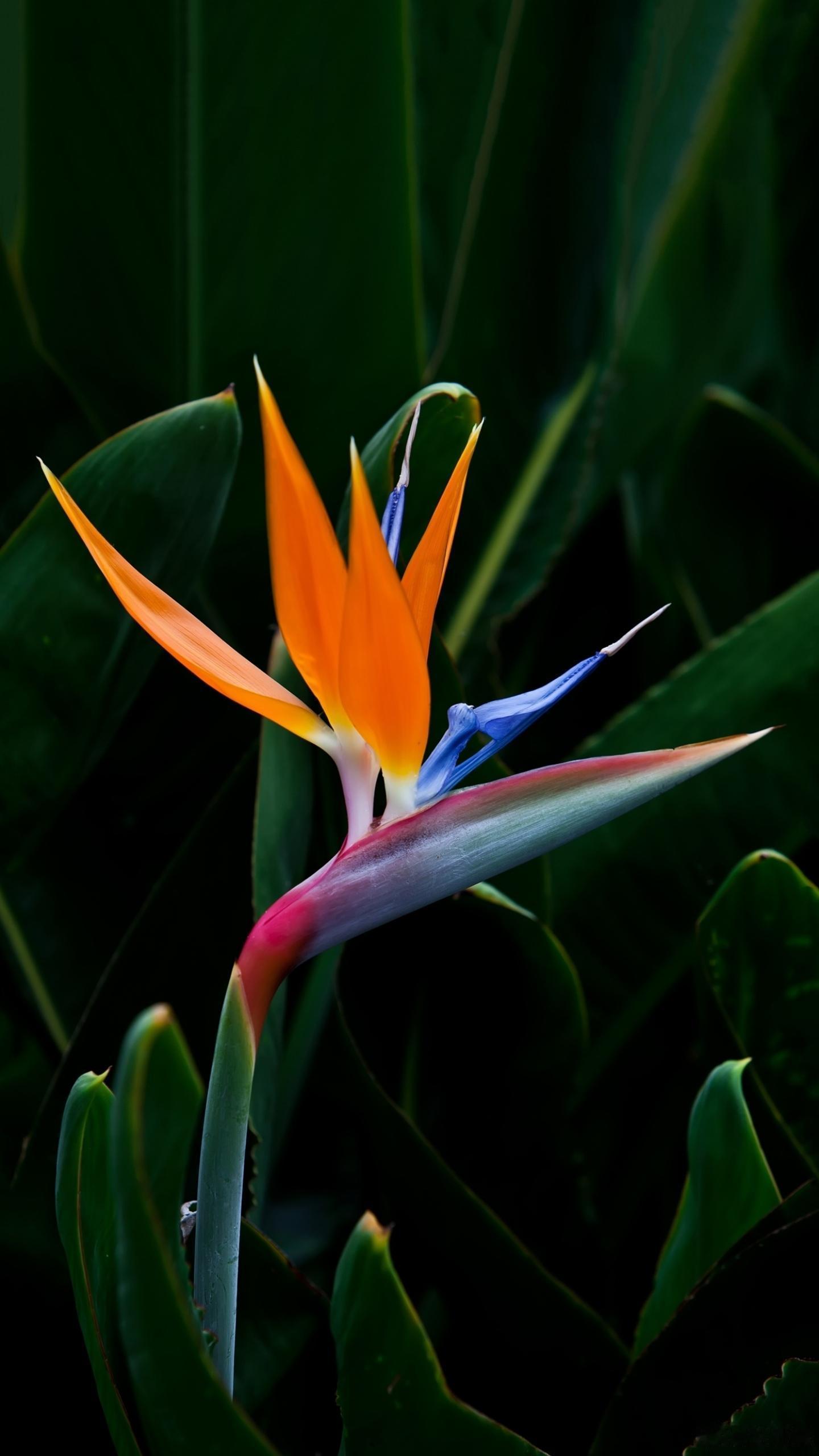 人生  人与人交往，开始让人舒服的，一定是言语。后来让人舒服的，一定是人品。始于