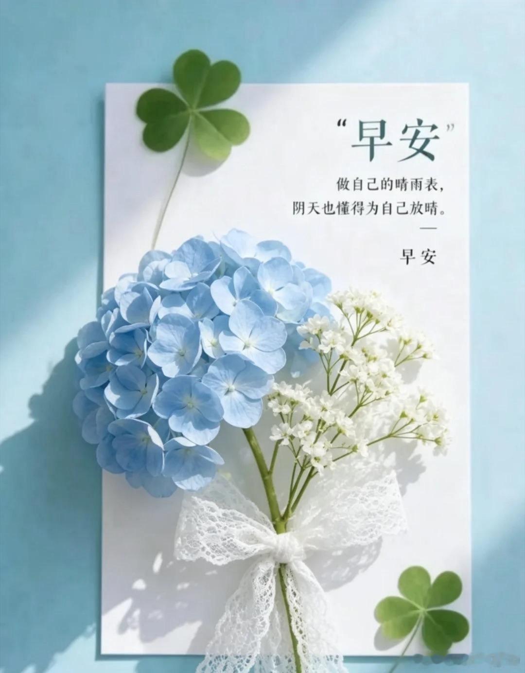 早安 万物都在生长变化，花开花落，人生起伏。活出自己的精彩，不辜负每一寸好时光。
