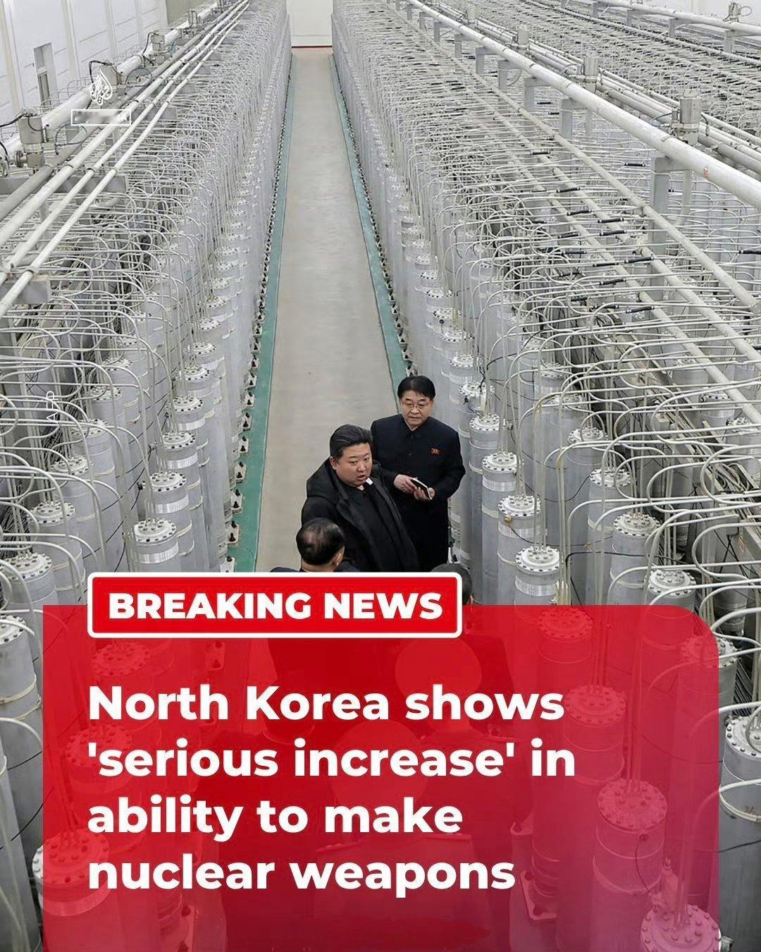 国际原子能机构（IAEA）总干事拉斐尔·格罗西表示，主体宁边核反应堆的运行活动正