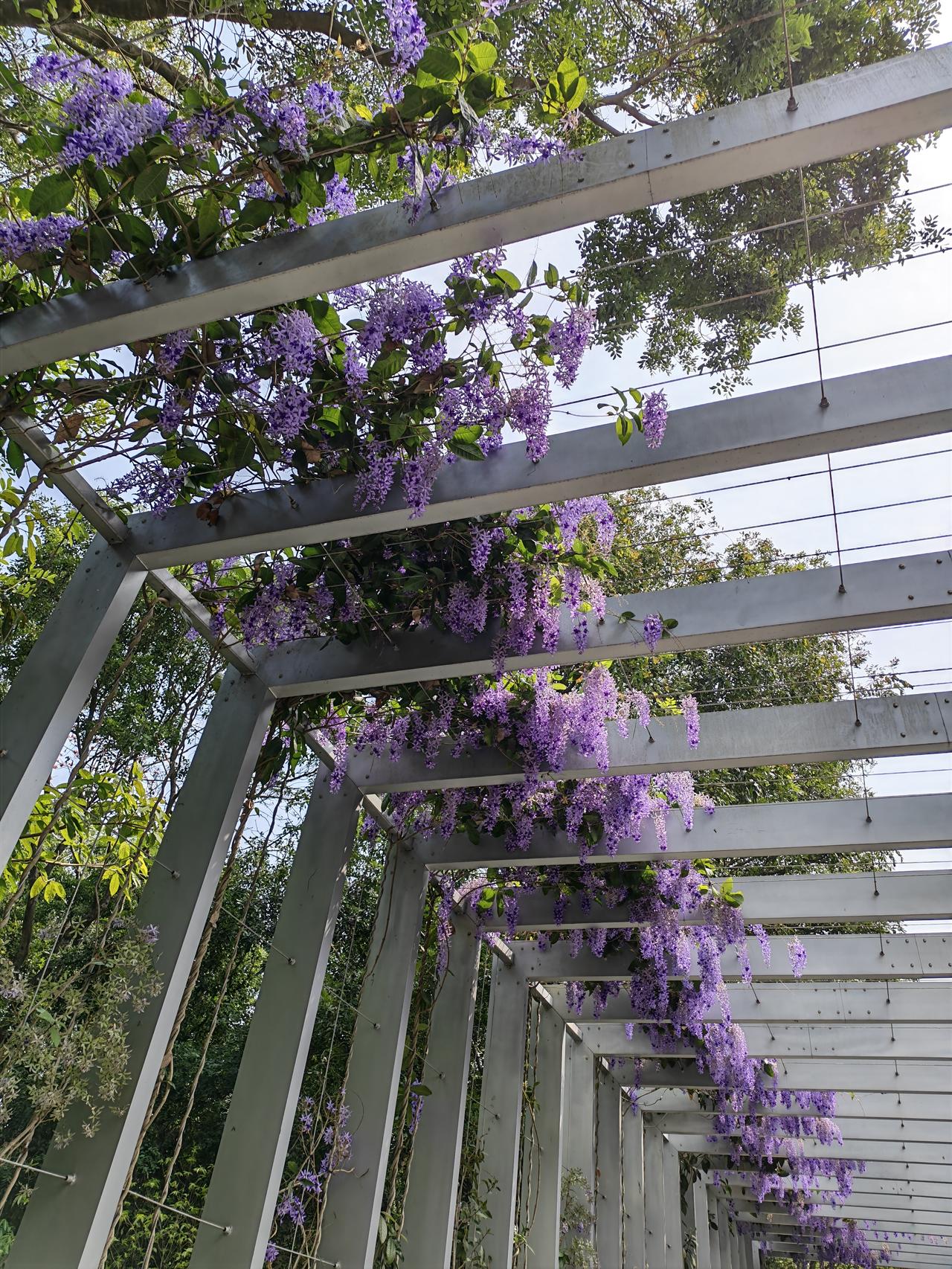 为了生活遇事不抓狂，存钱   存钱   存钱！
谁还没年轻过，年轻时爱美喜欢打扮