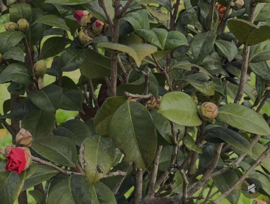 爸爸去世10年，妈妈改嫁后，我一心为让她在叔叔家好过，拼尽全力对继父一家好，可终