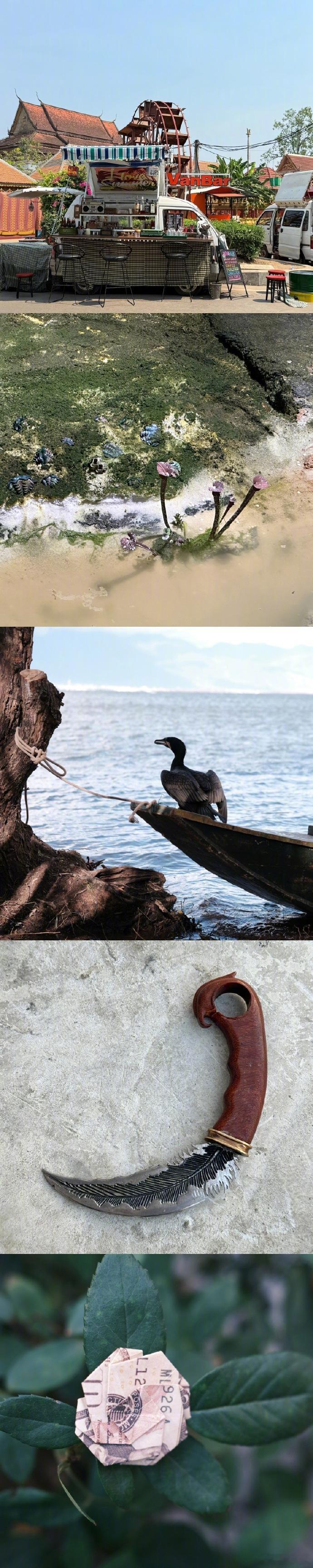孟子义期待和易飒的下次见面  孟子义易飒的金汤碎片 看到这些金汤碎片，就对水下探