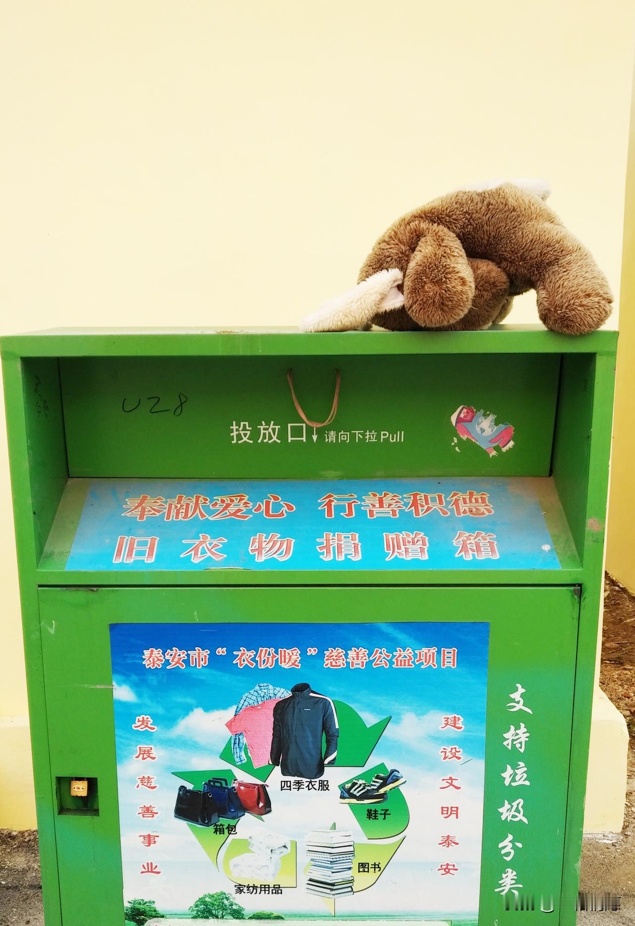 被人遗弃的小熊，一只可怜的玩具熊被主人丢在了回收箱上，拿着大顶，这是在祈求路人收