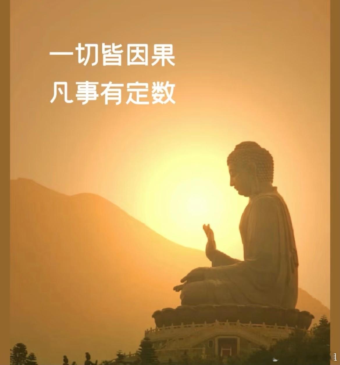 午睡做了一个梦，梦见自己开车要去一个地方，输入导航怎么也输不对，不是字选不准，就