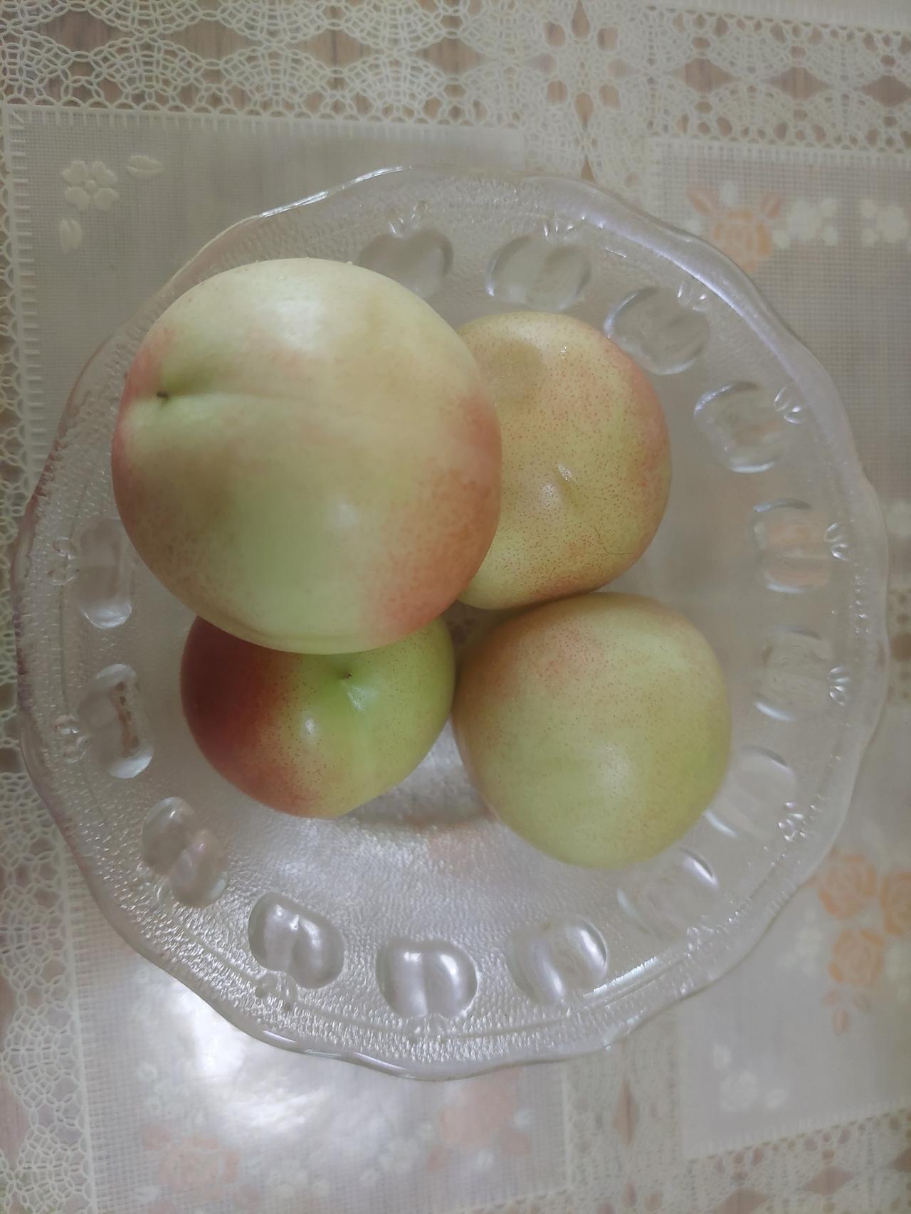 就说说我这一上午的故事吧。

这家伙，大周一给我忙的。

手搓小说：这两天有点微