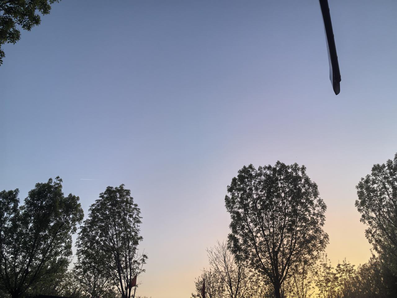 树影摇曳间，夕阳染天边。
