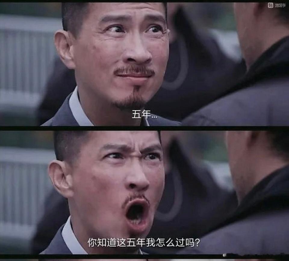 整整五年，坚守在新能源与白酒的赛道里散户们，亲眼见证它们从万众追捧的明星，到无人