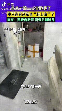 心态真好！河北，女子晚上睡觉听到哐啷一声没有在意，早上起来一看发现装螃蟹的箱子倒