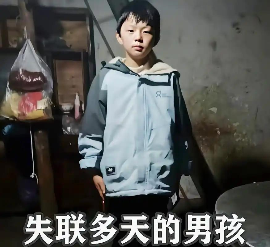 11岁的罗仁豪失联5天,多方力量持续搜寻,最终由警犬协助找到,他却一直躲在离家不