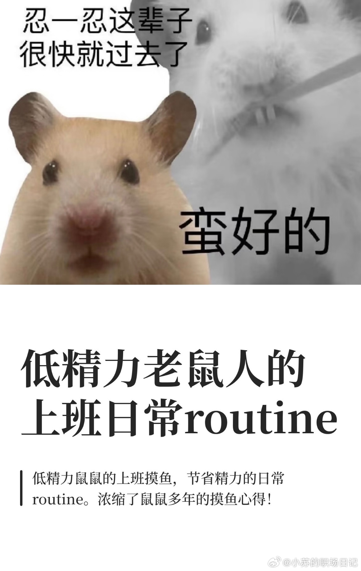 职场那些事工位唠嗑吃瓜局牛马日常 打工日记｜365天 没有一天适合上班阴雨天降温