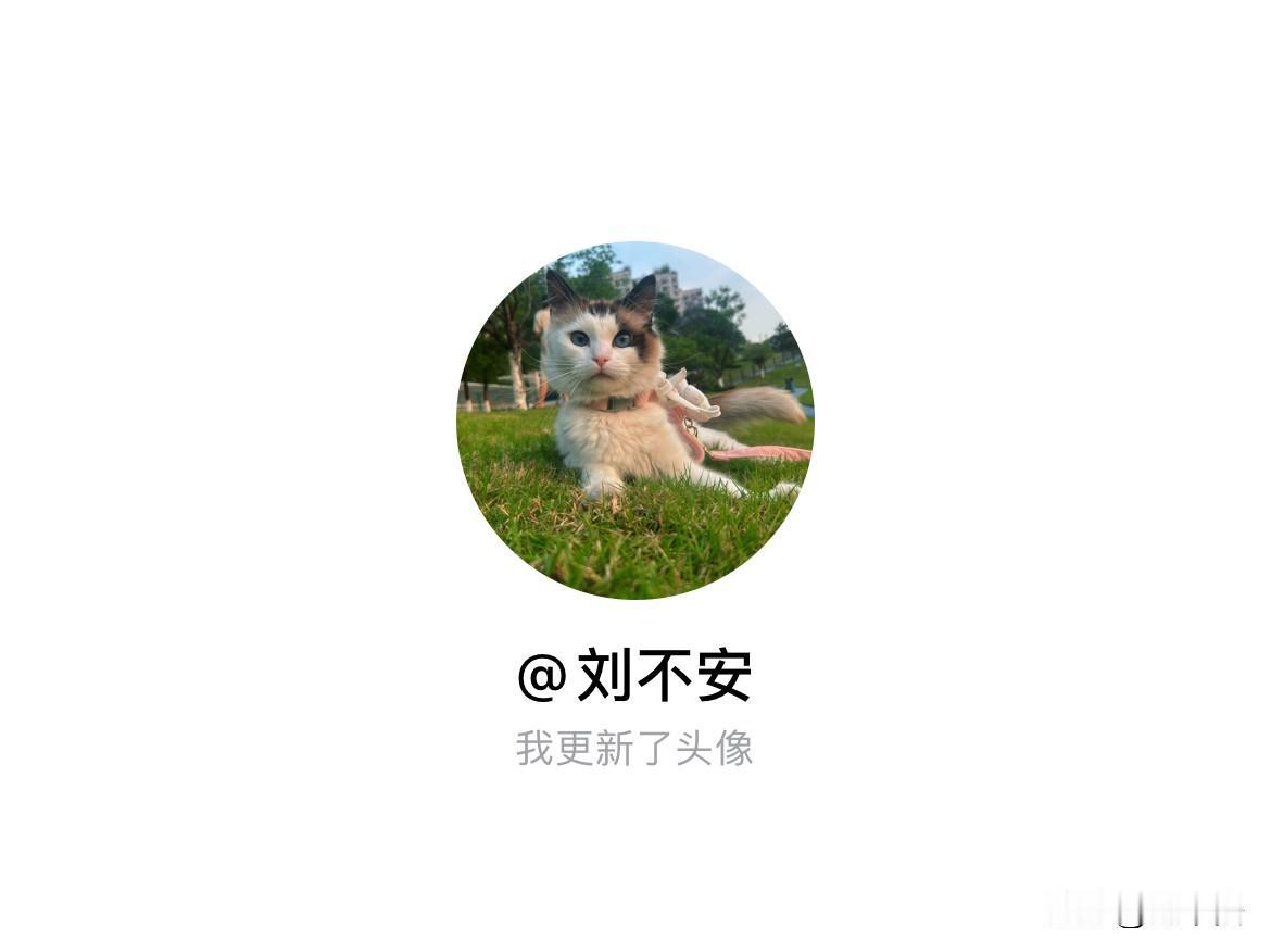 快来看看我新换的头像吧