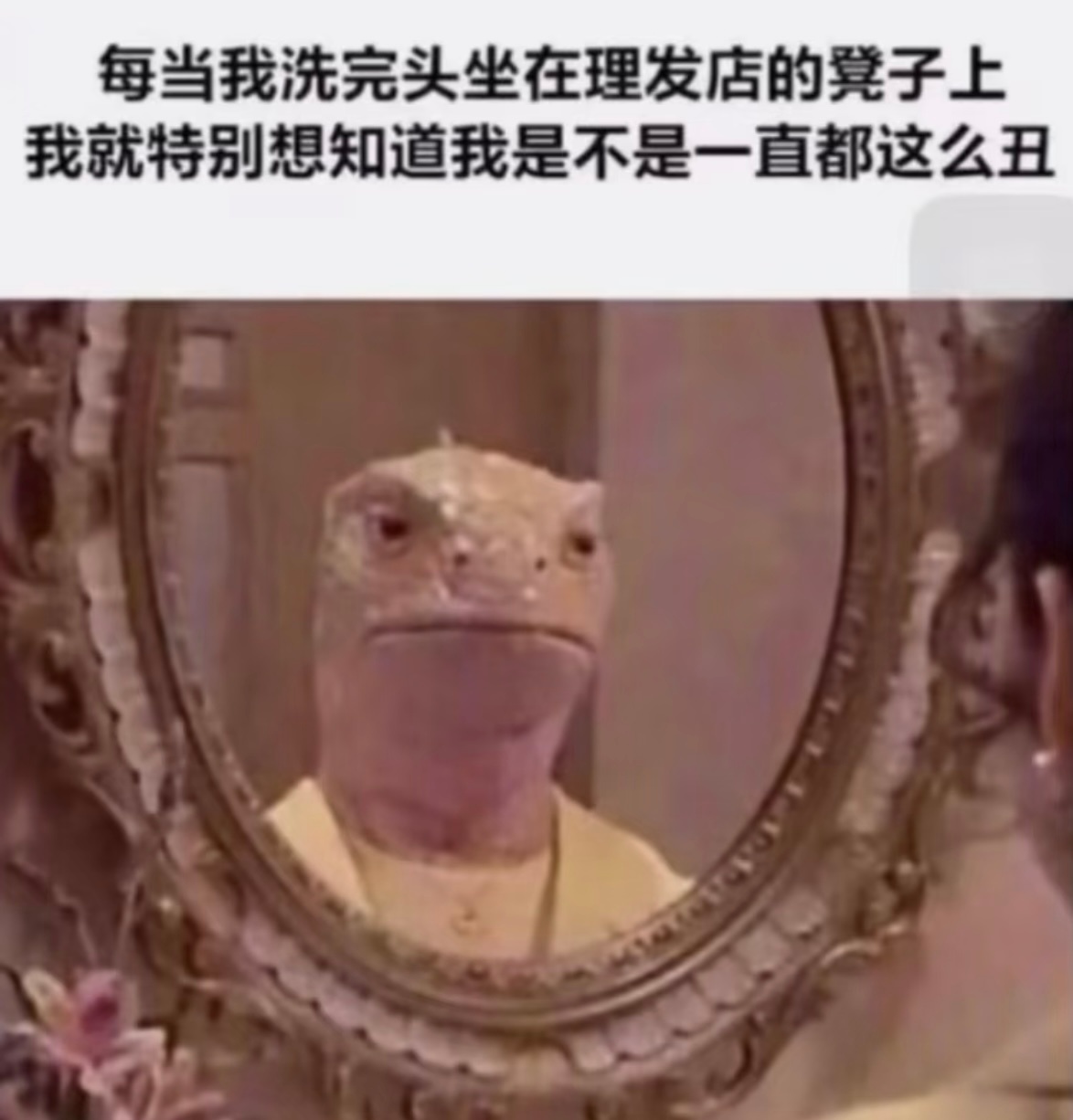 这个心理活动我从未向任何人提及过 