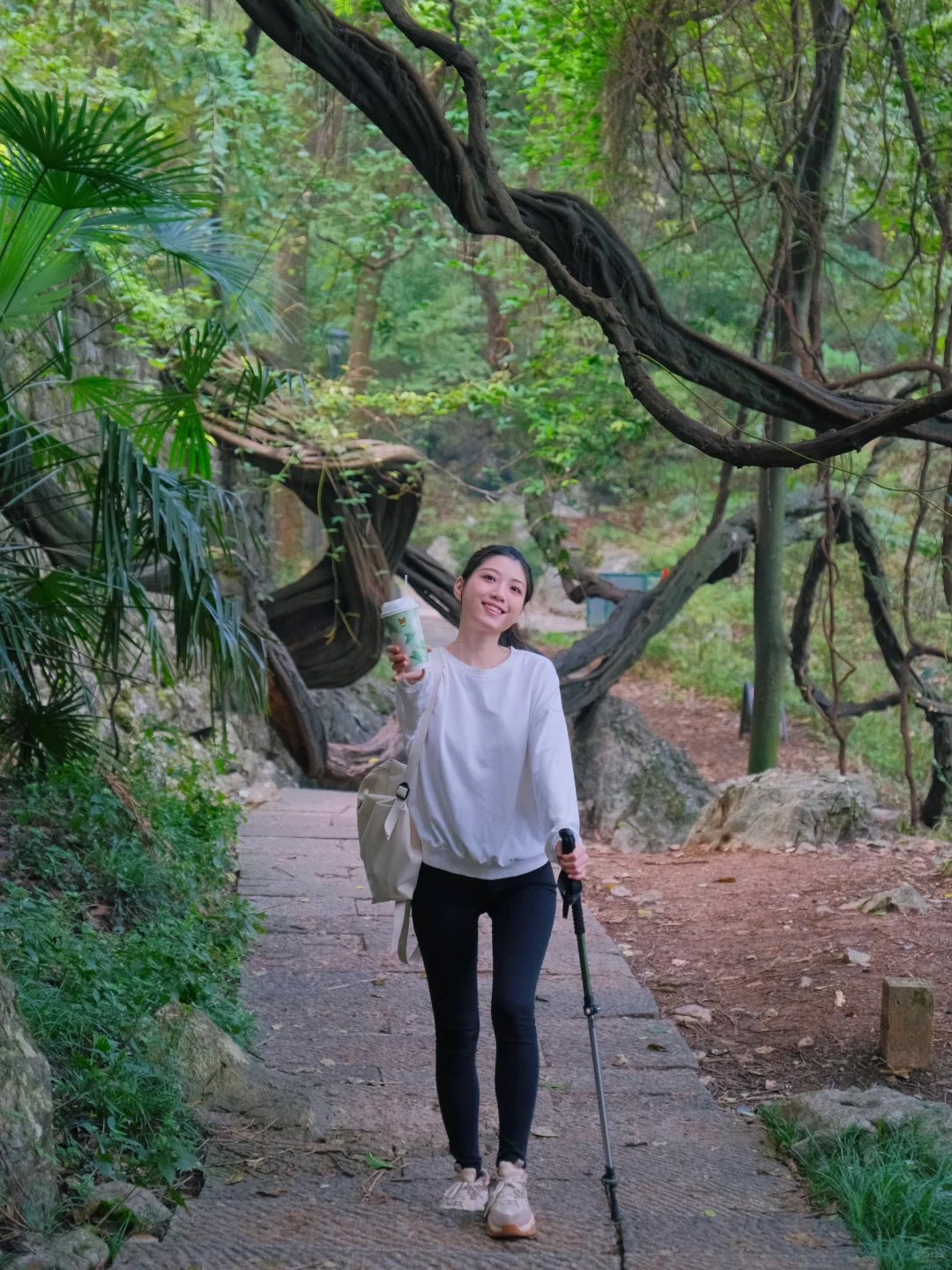 半小时登顶‼️杭州秋天最值得的登山路线