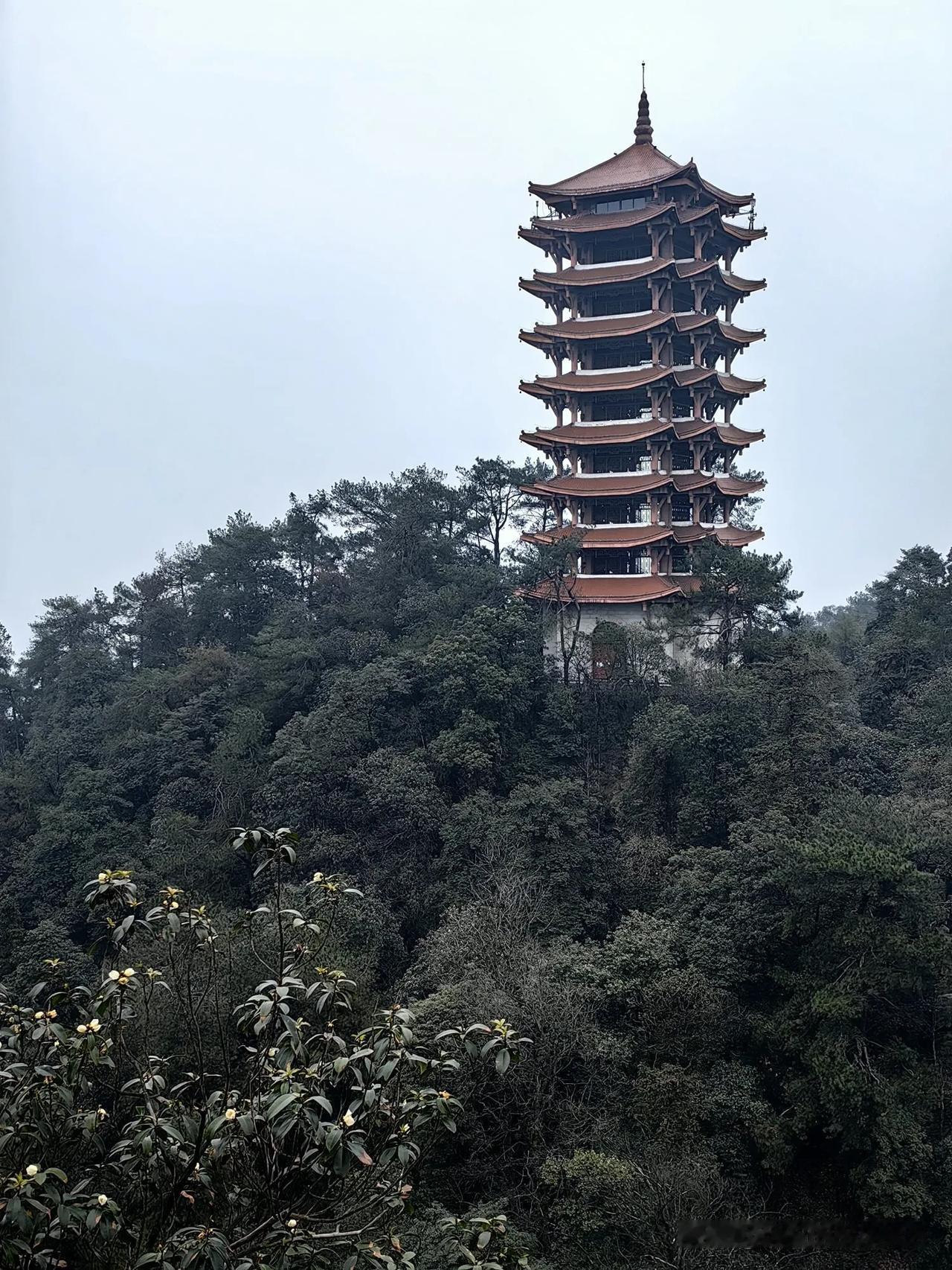 跨年度假第十一天   重庆

今天的计划就是去缙云山，朋友开车陪同前往，缙云山与