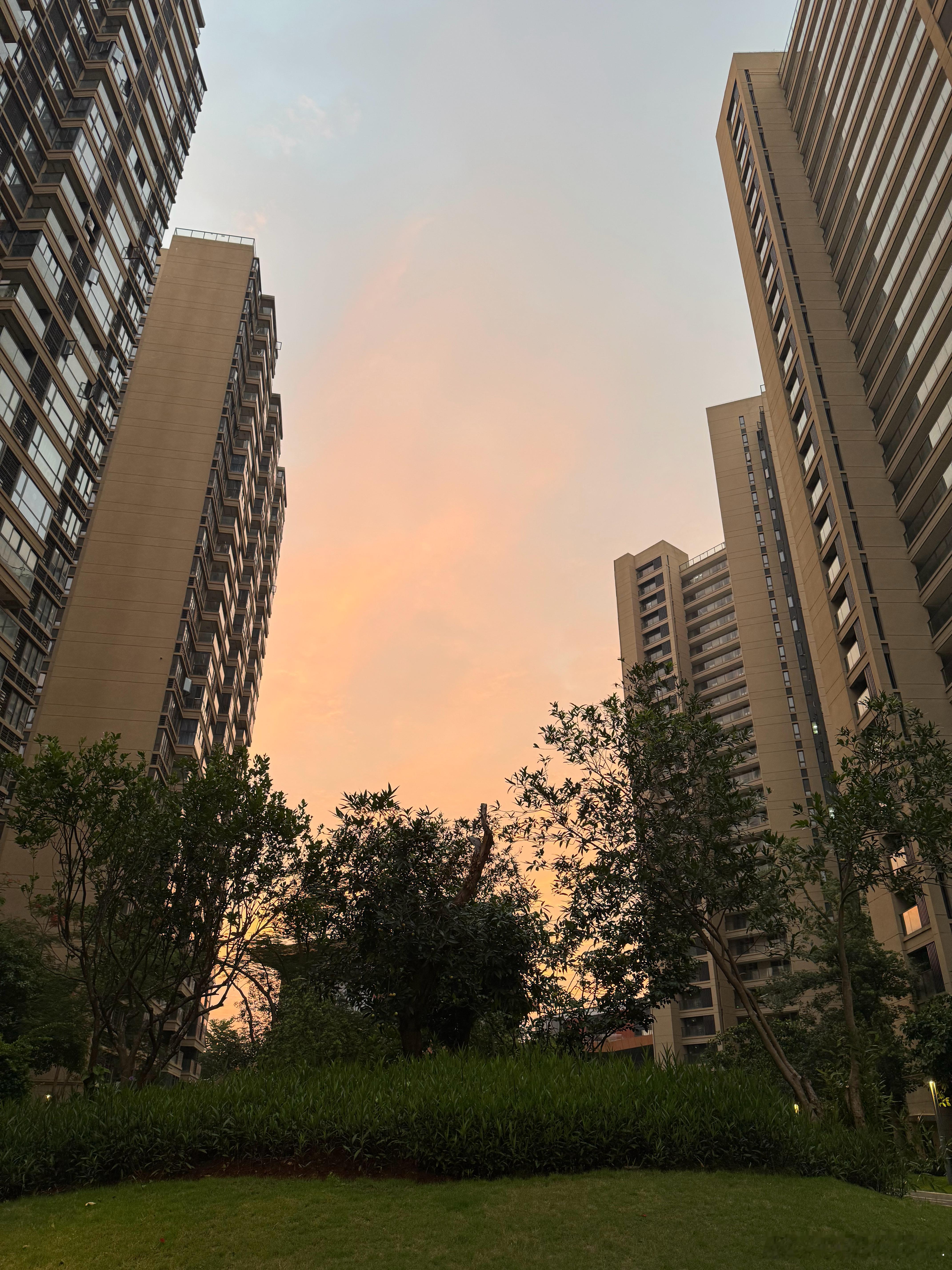 比起日落，日出显得更加柔和。（主要是好久没这么早起了） ​​​