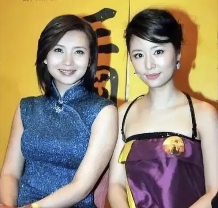右边是林心如，左边是陈好，你觉得谁最有气质！#娱乐# #明星#