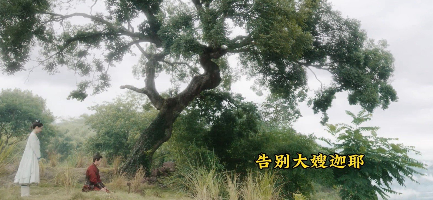#谁家男二20集才有正脸#谁懂啊这剧真的越看越起劲，第二十集刚露正脸真是不一般，