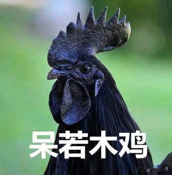 【令人目瞪口呆！】要是在地球上测量一下丹麦到格陵兰岛的距离，那结果可能会让你惊掉