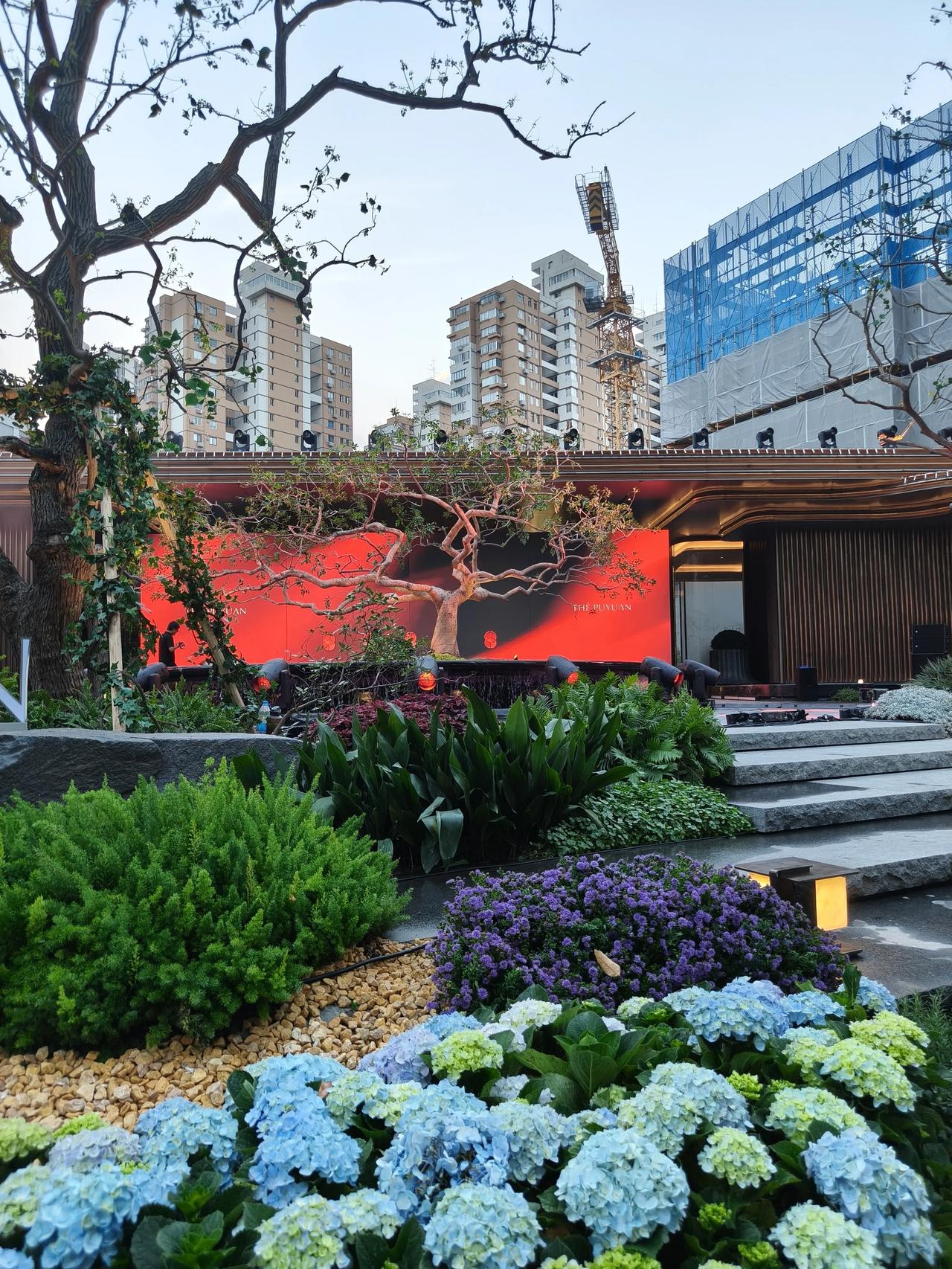 再来一波公园绿地散步随手拍实景图~[烟花][爆竹][锦鲤到来][玫瑰][招财进宝