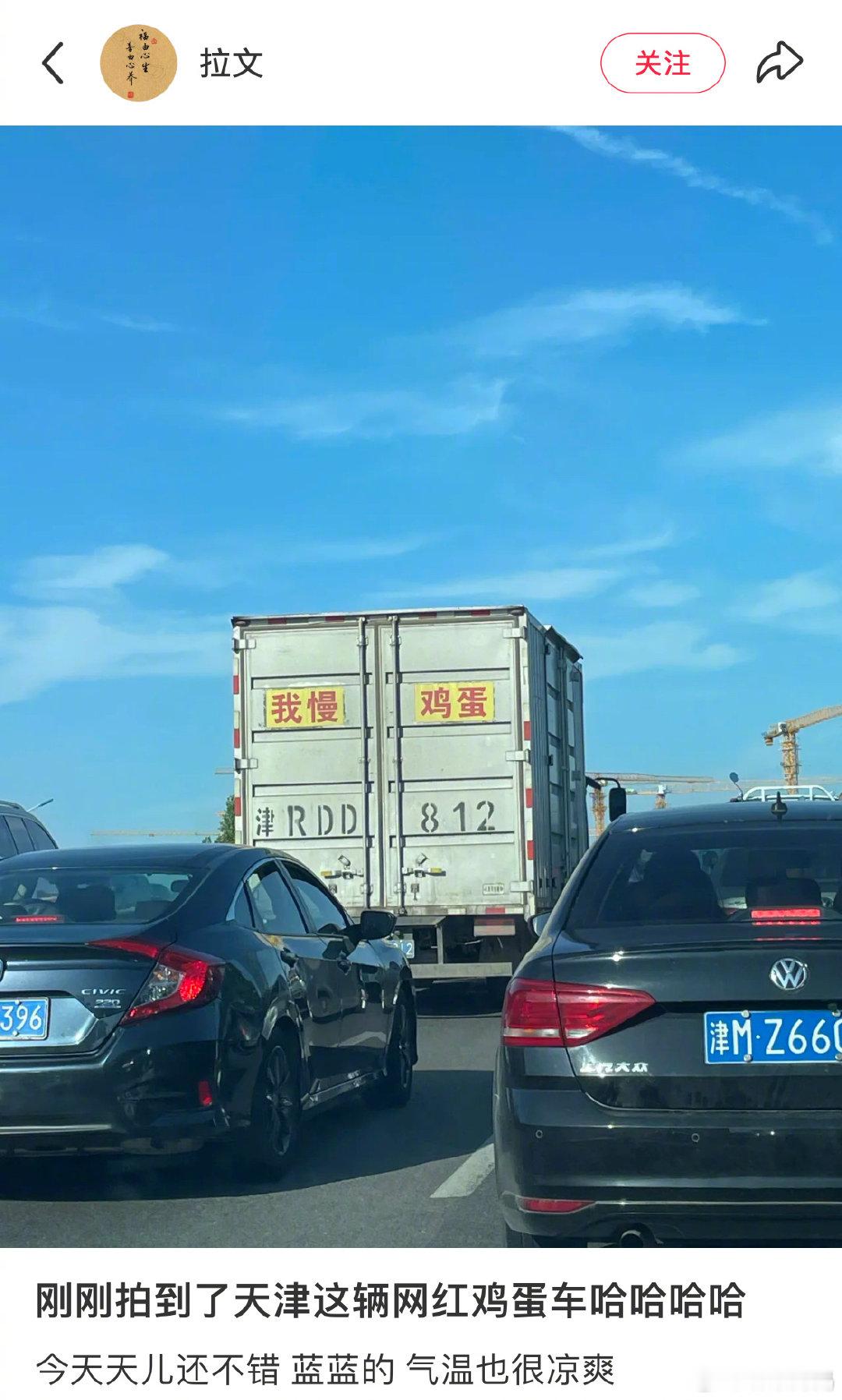 在繁忙的都市角落，偶尔能遇见那些载满新鲜鸡蛋的小货车，车尾挂着温馨的标语：“鸡蛋