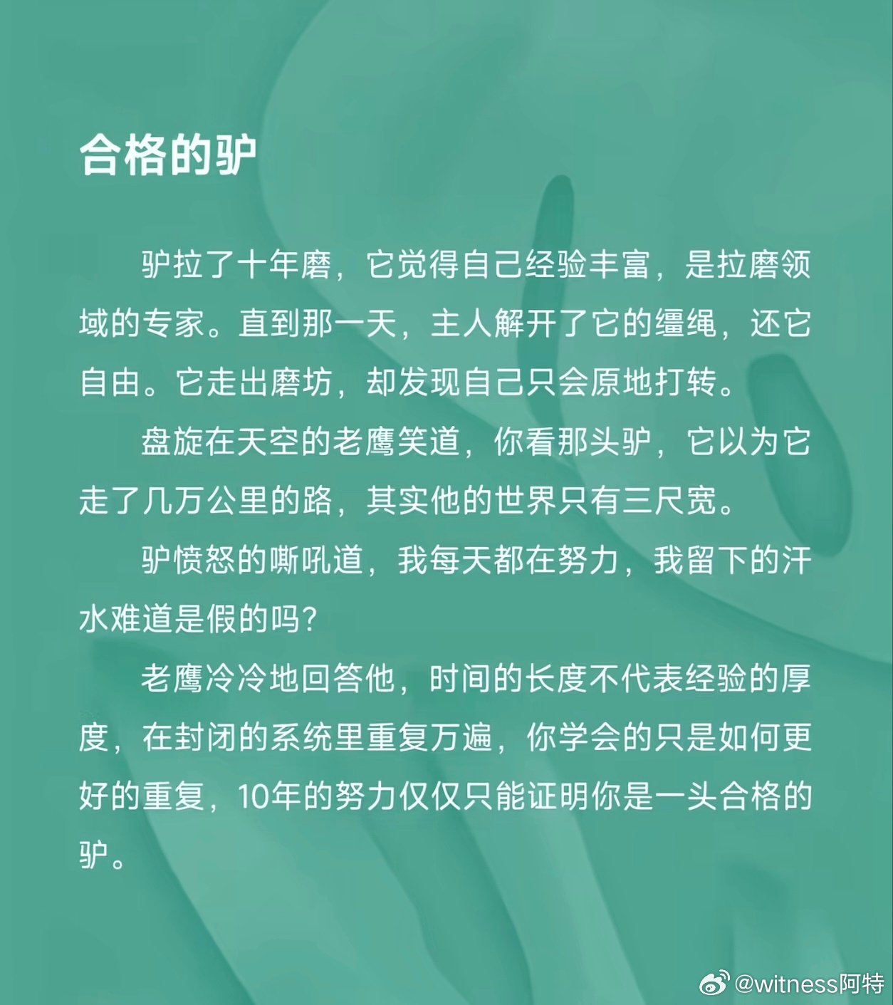 合格的lv🫏 