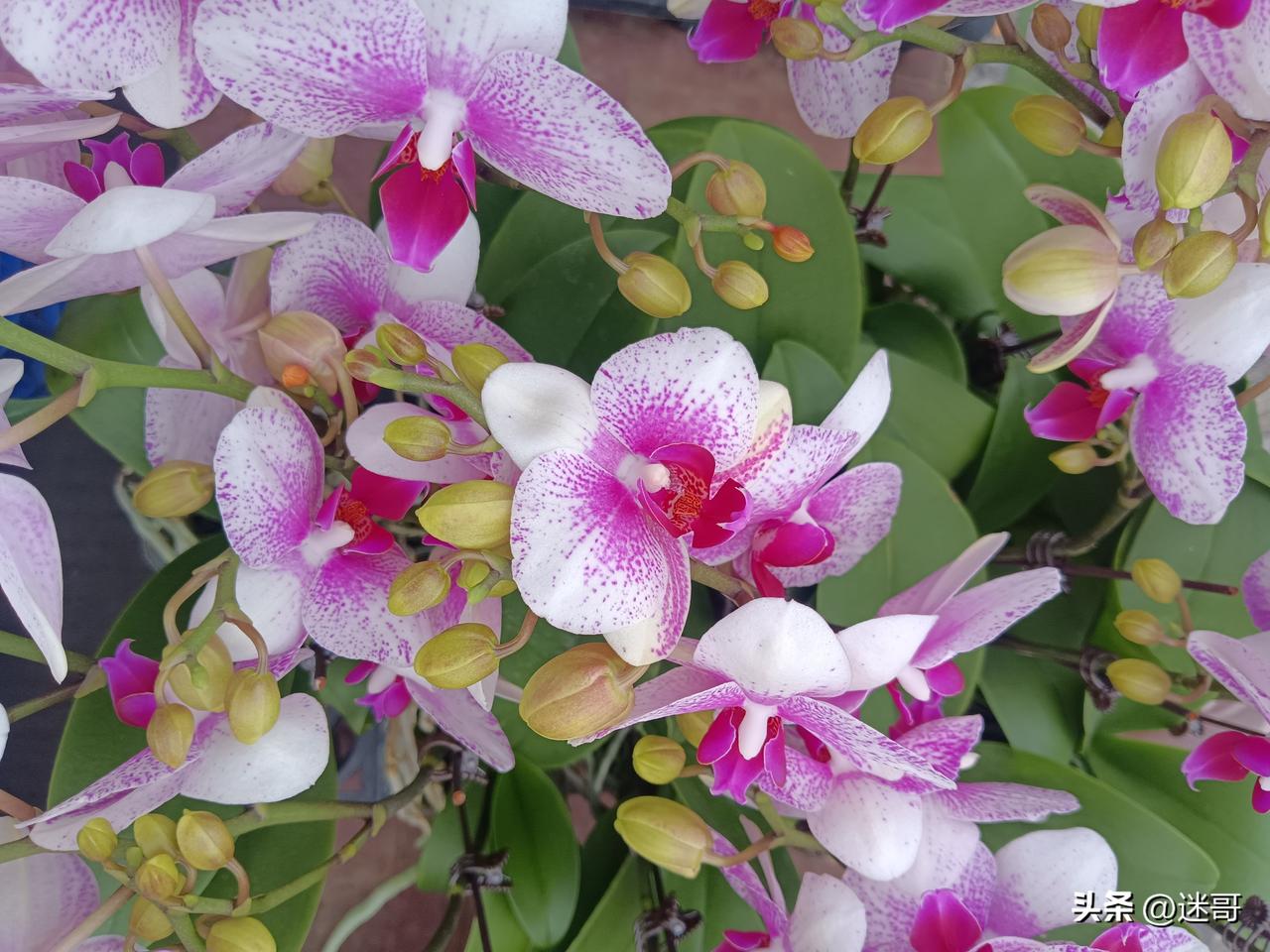 我非常认同这句话。

它深刻地揭示了物质贫困与精神贫困的本质区别。

简单来说，