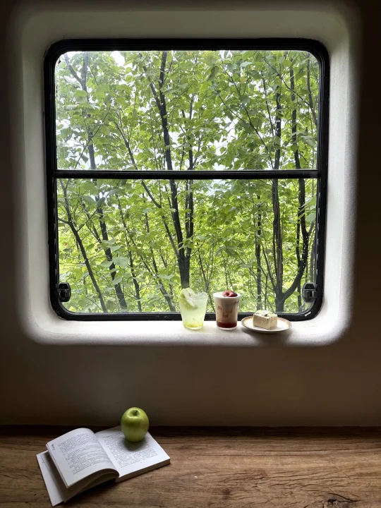 杭州雨天🌧️适合呆一下午的地方🍃……