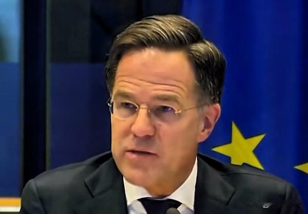 呼吁欧洲持续军援乌克兰并提升自主防务，主张美欧协同推进和谈，同时要求欧盟灵活使用