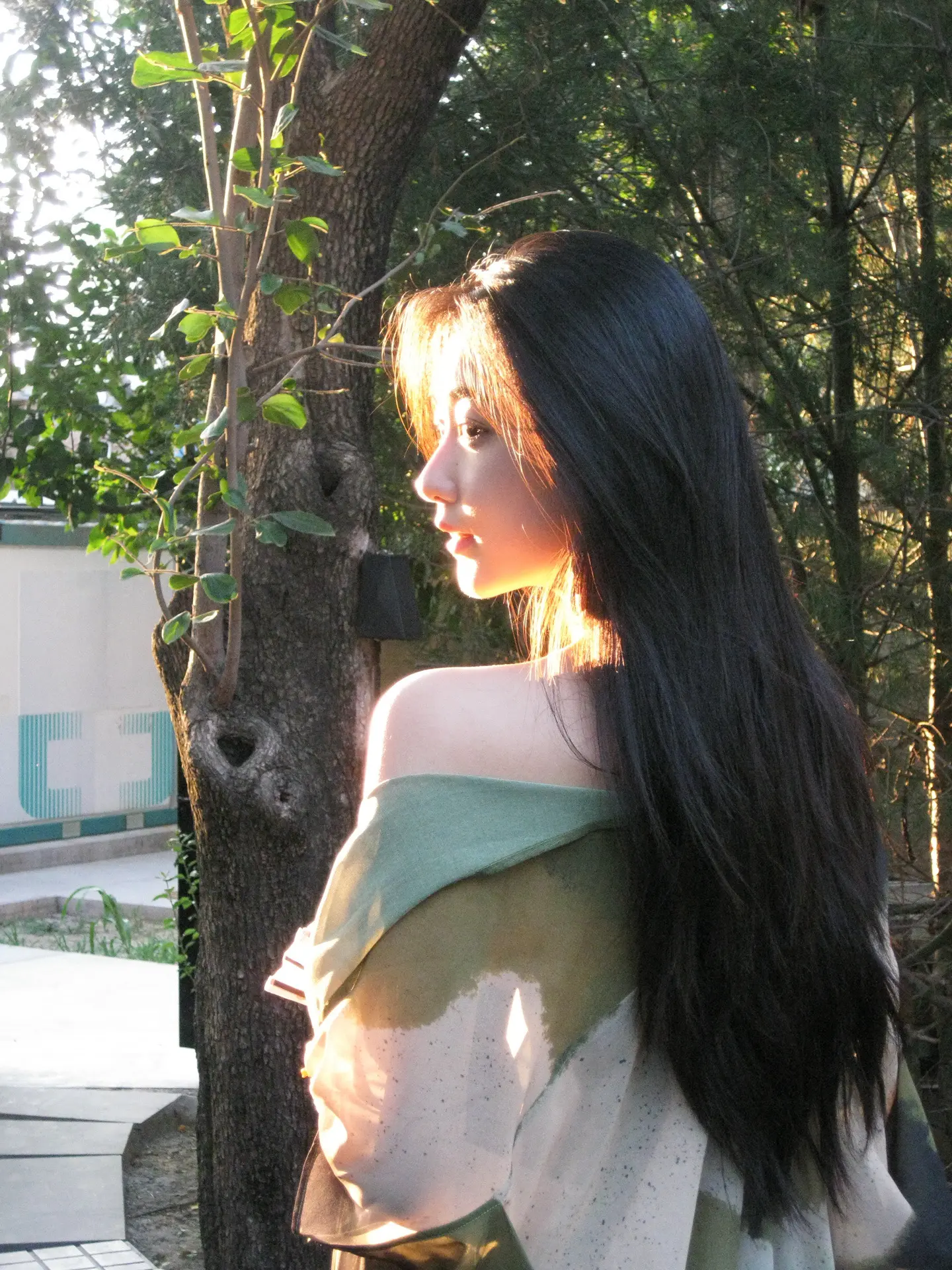 你像陽光一樣出現 涉悸 於是枯木逢春。